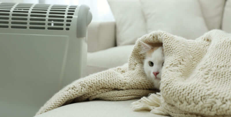 Cat wrapped up underneath a white rug with an electric space heater nearby